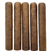 Unbanded Aged 8 Years Premium Dominican Gordo San Andres 5 Pack Sampler