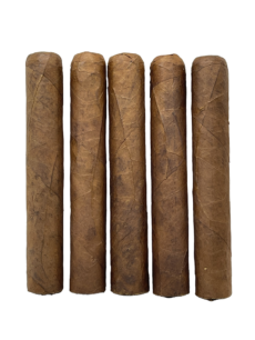 Unbanded Aged 8 Years Premium Dominican Gordo San Andres 5 Pack Sampler