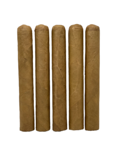 Unbanded Aged 8 Years Premium Dominican Toro Connecticut Shade Sampler