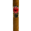 Flor De Pinar Robusto